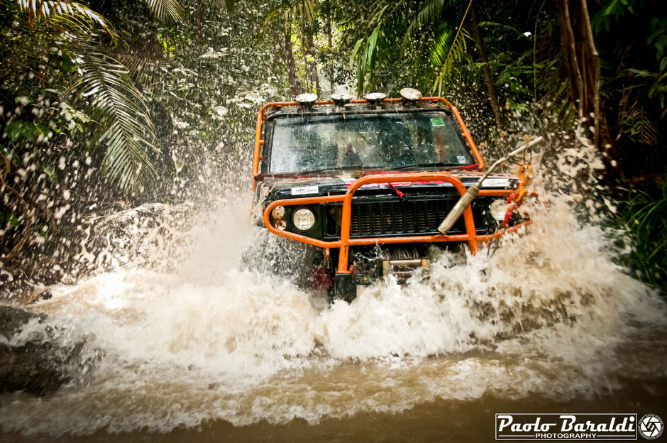 rainforest challenge
