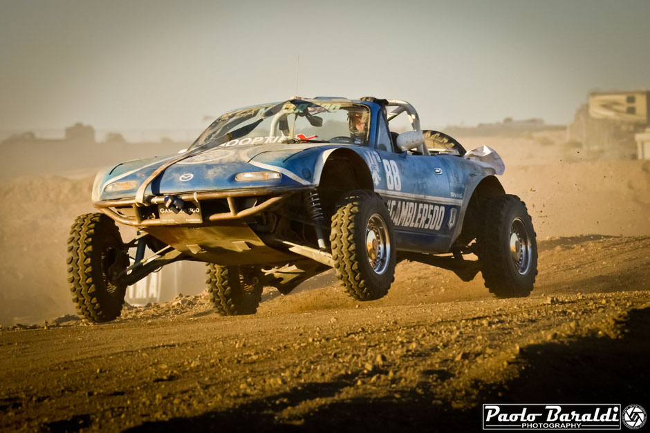 gambler 500 hooptiex