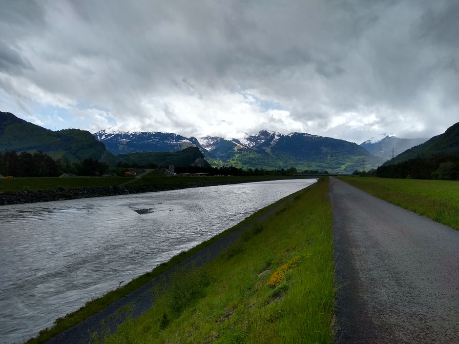 Nur wenig Kiesflächen für die Bruten der Flussregenpfeifer am Alpenrhein