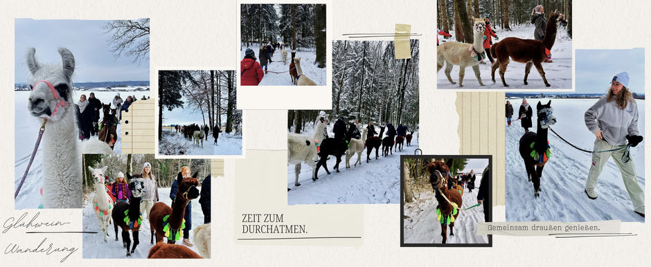 Winterliche Collage mit dem Text: Glühweinwanderung – Zeit zum Durchatmen – gemeinsam draußen genießen