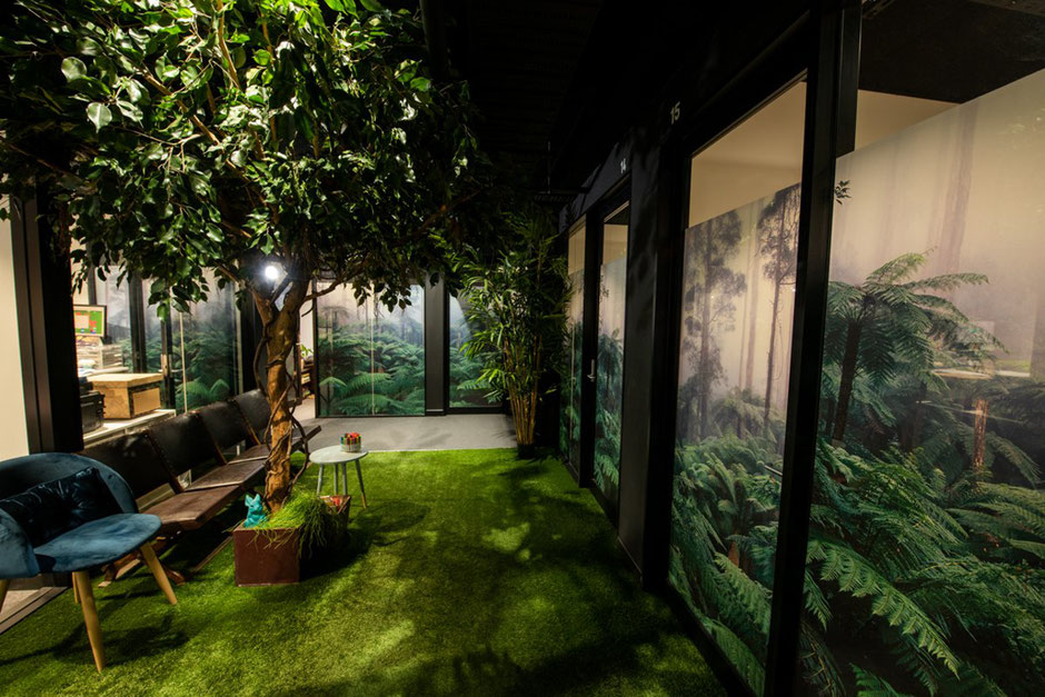 Biophilic forest-themed healthcare waiting room – Newpsych, Newcastle