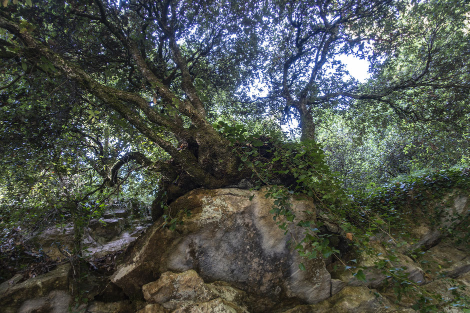 se baigner dans des vasques naturelles 