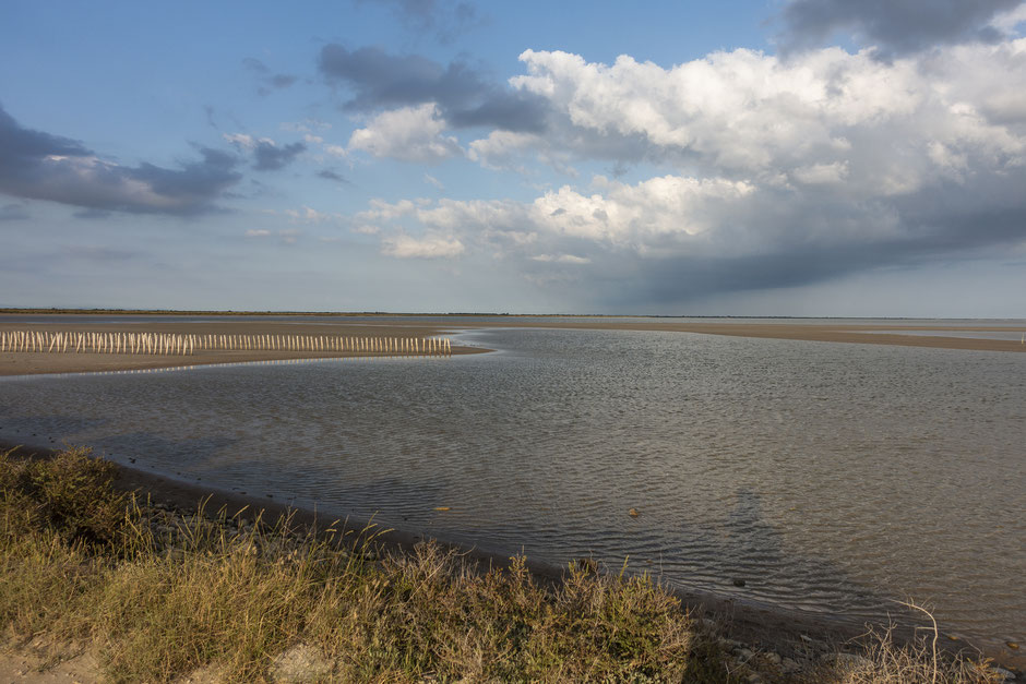 visiter la camargue en deux jours