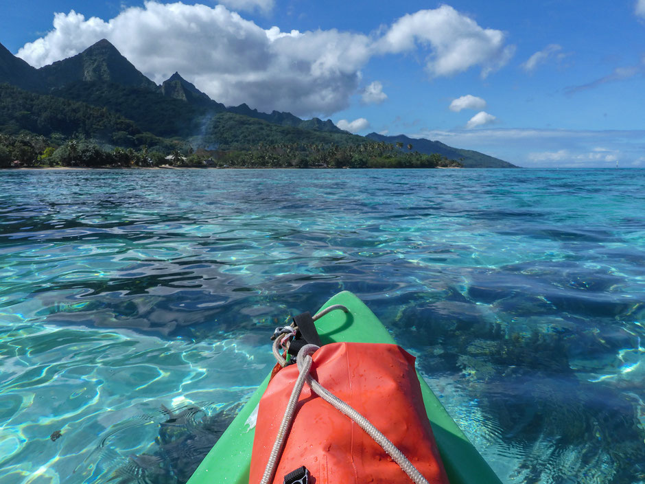 blog voyage polynesie