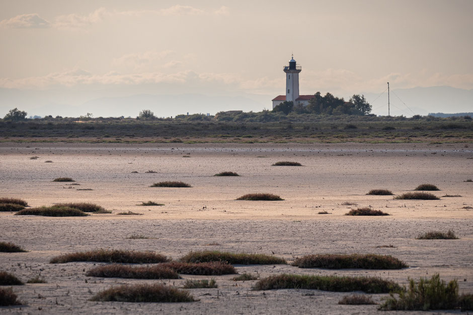 visiter la camargue en deux jours