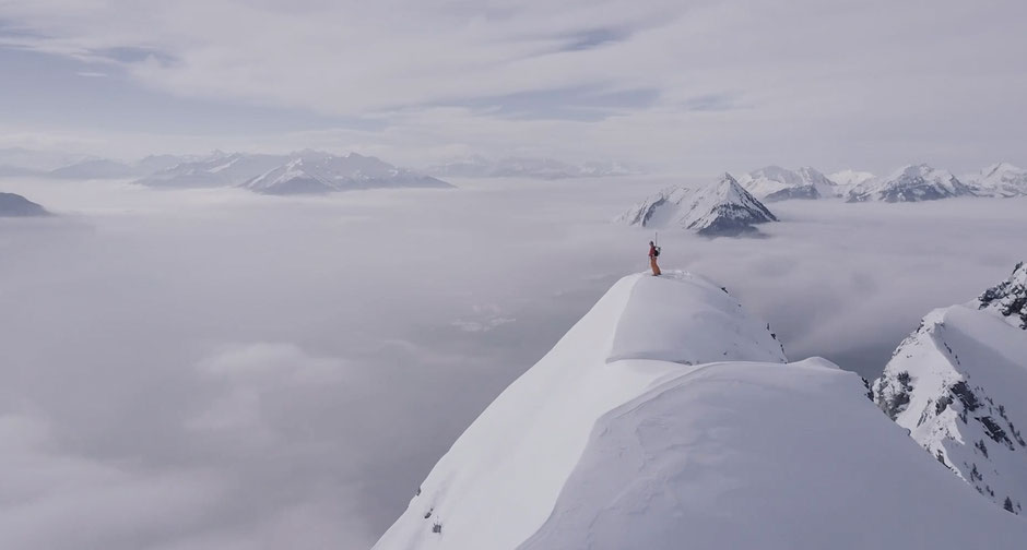 DOCUMENTAIRE NATURE DE QUALITÉ