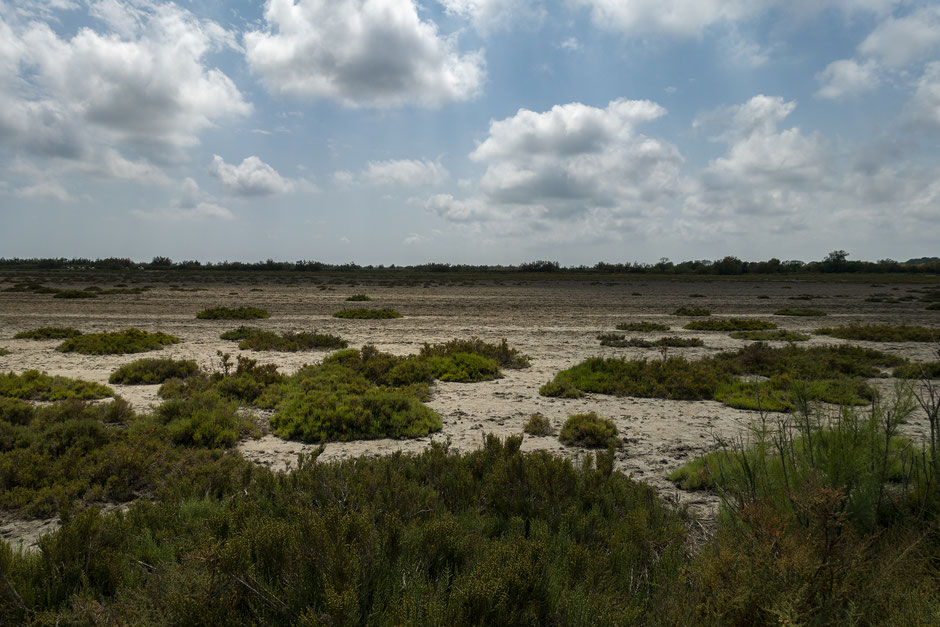 visiter la camargue en deux jours