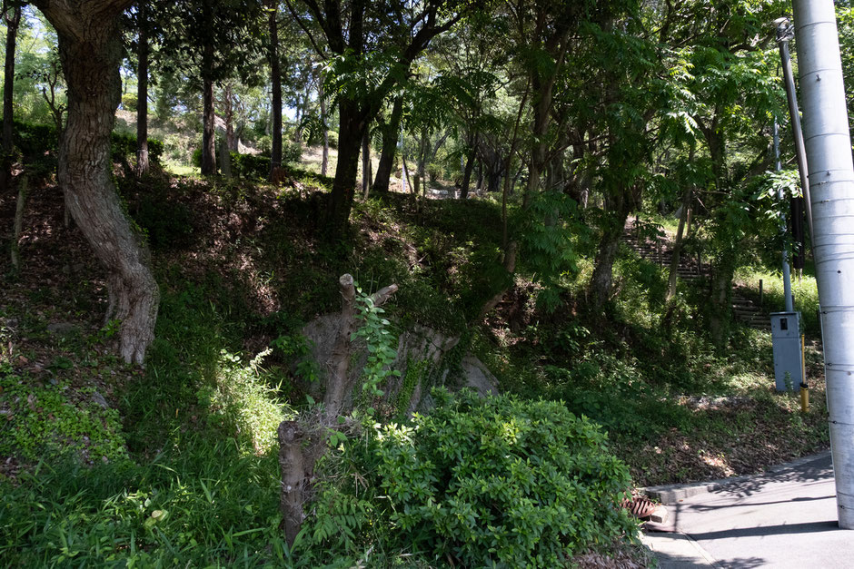 八景山(みやこ町)公園?