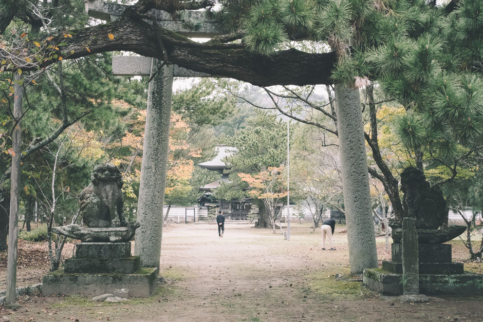 海の中にあった八幡社? 豊後高田市「別宮八幡社」で見つけた右三つ巴紋