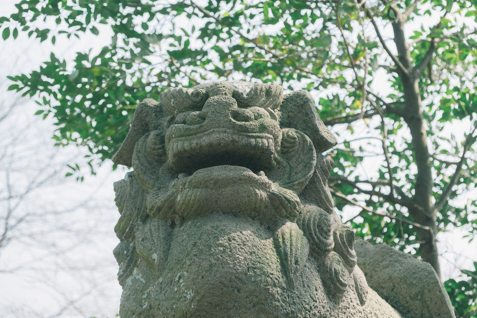 【うきは市浮羽町古川】素盞嗚神社 狛犬 阿形