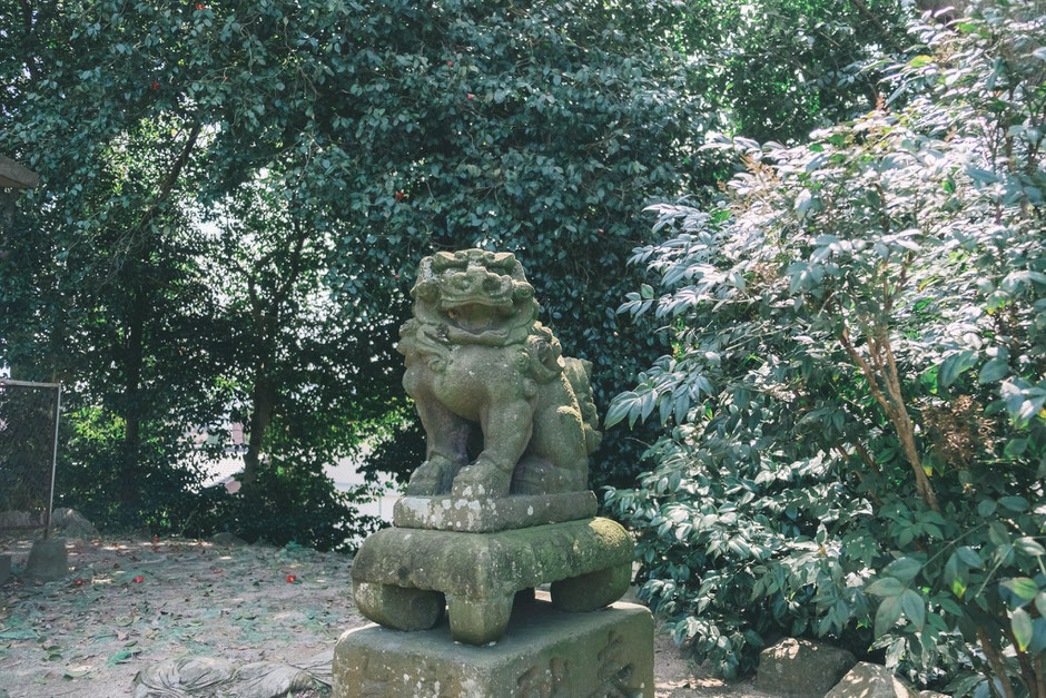 【うきは市吉井町】若宮八幡神社内「日岡古墳」狛犬(阿形)