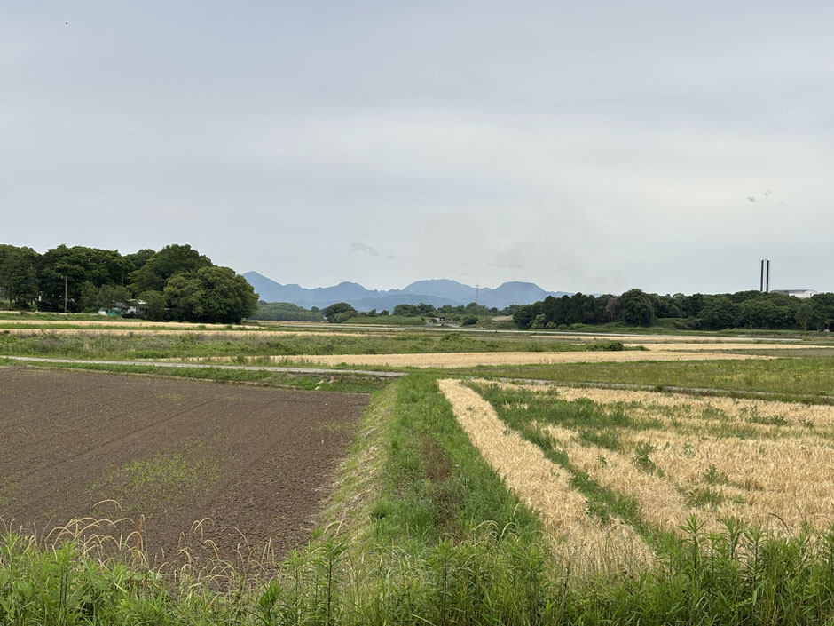 帰り道。宇佐市から見えた国東半島の山。