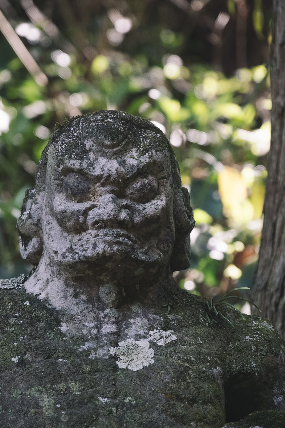 【難病平癒の観音様】福岡県みやこ町「胸の観音」
