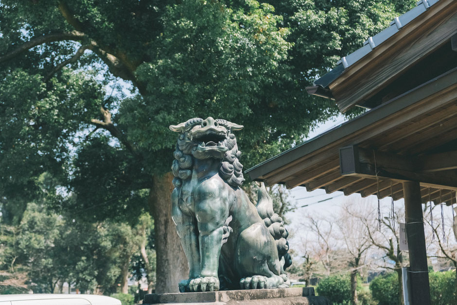 【うきは市吉井町】若宮八幡神社 狛犬(阿形)