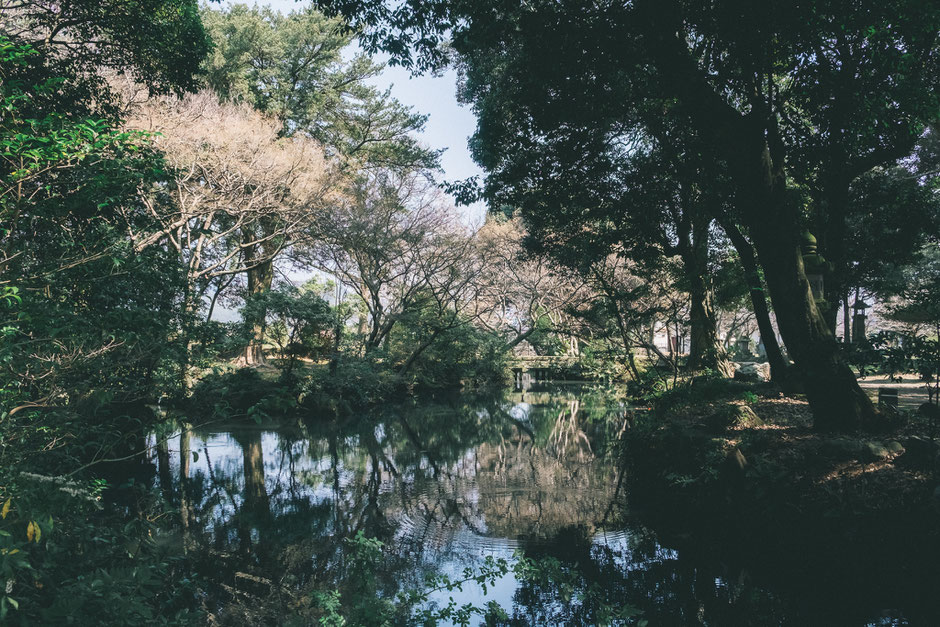【うきは市吉井町】若宮八幡神社の池