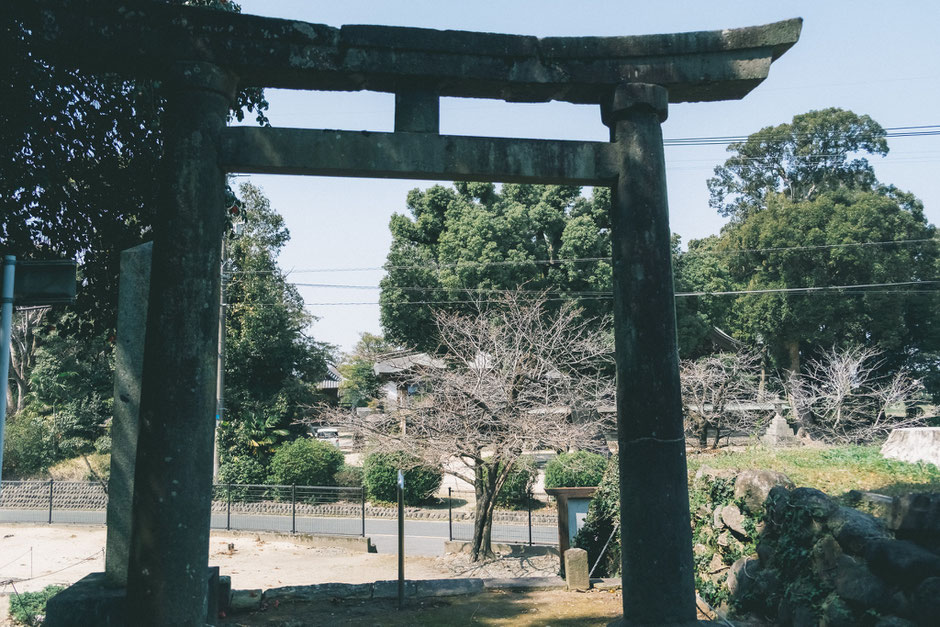 【うきは市吉井町】若宮八幡神社内「日岡古墳」から見る若宮八幡神社・月岡古墳方向
