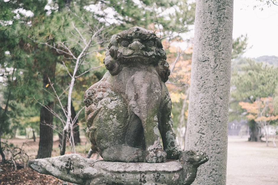 かつて海の中にあった八幡社? 豊後高田市「別宮八幡社」狛犬(吽形)