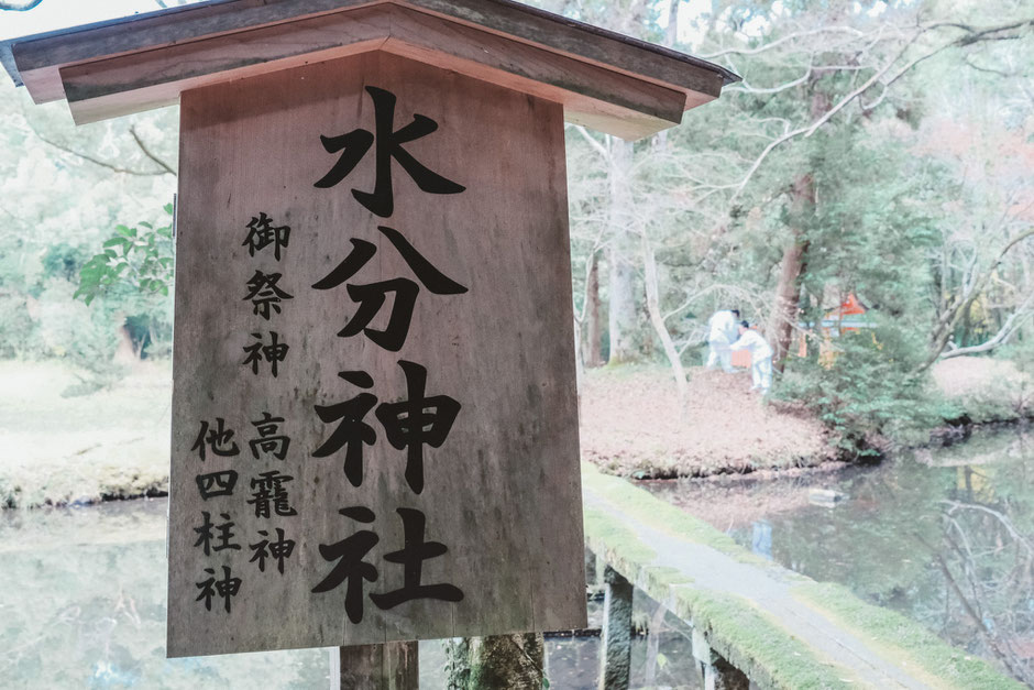 宇佐神宮 菱形池に浮かぶ「水分神社」