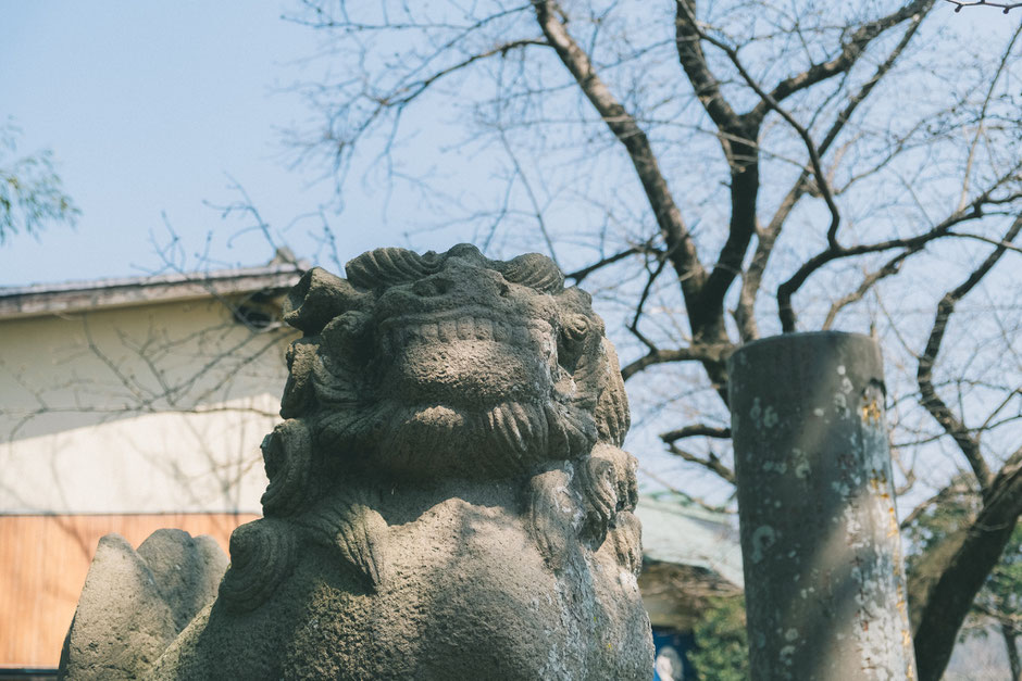 【うきは市浮羽町古川】素盞嗚神社 狛犬 吽形