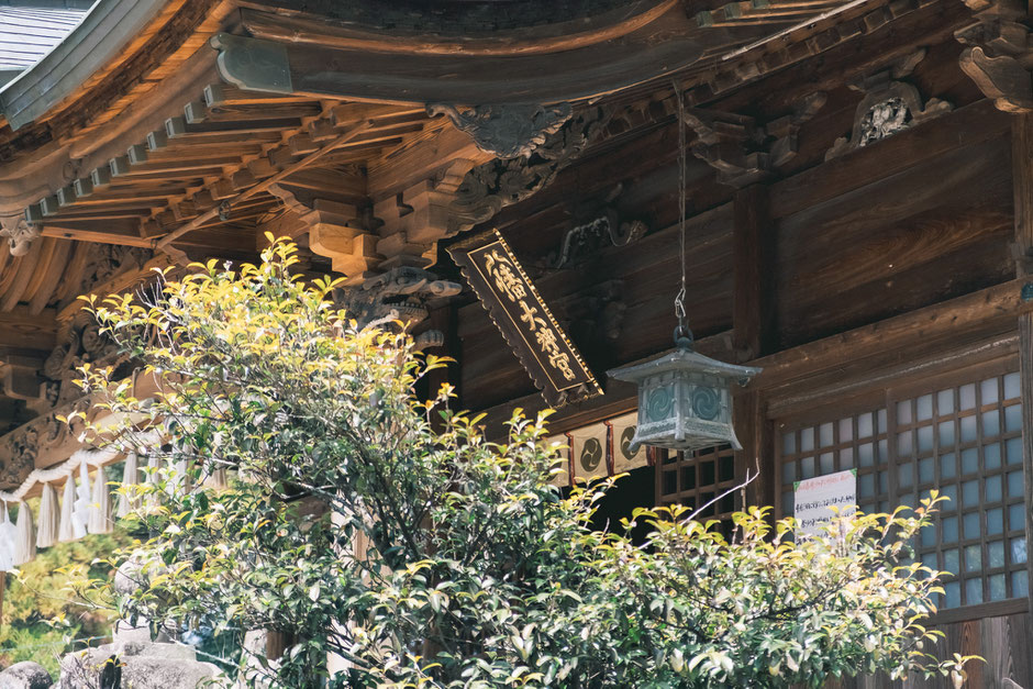 【うきは市吉井町】若宮八幡神社 八幡大神宮