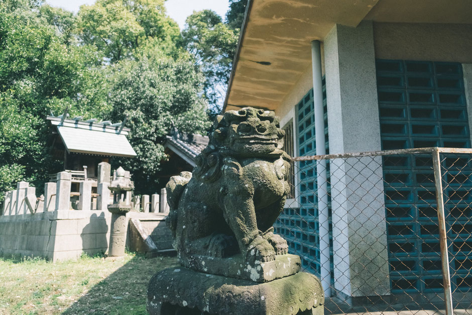 【うきは市吉井町】若宮八幡神社内「日岡古墳」狛犬(吽形)