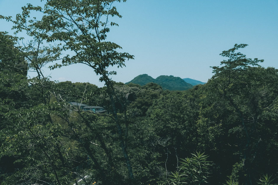 甲塚古墳(みやこ町)を歩く。西側の御所ヶ谷方面にはフタコブラクダのような山