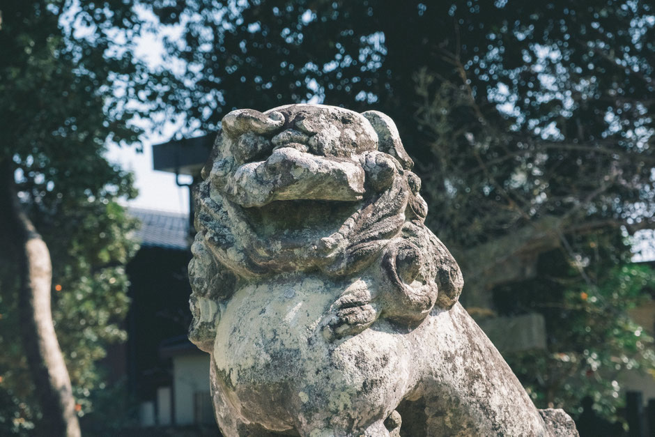 【うきは市浮羽町西隈上】正八幡宮(隈上正八幡宮)狛犬 阿形