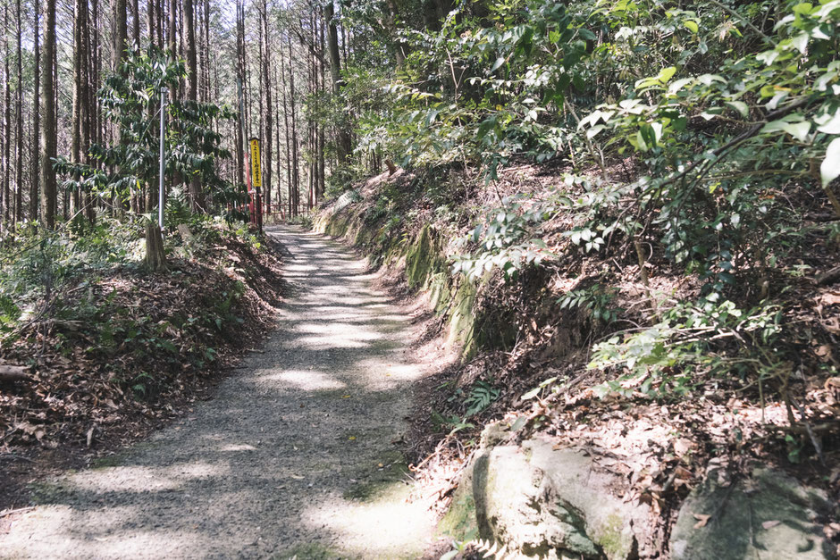 【難病平癒の観音様】福岡県みやこ町「胸の観音」参道