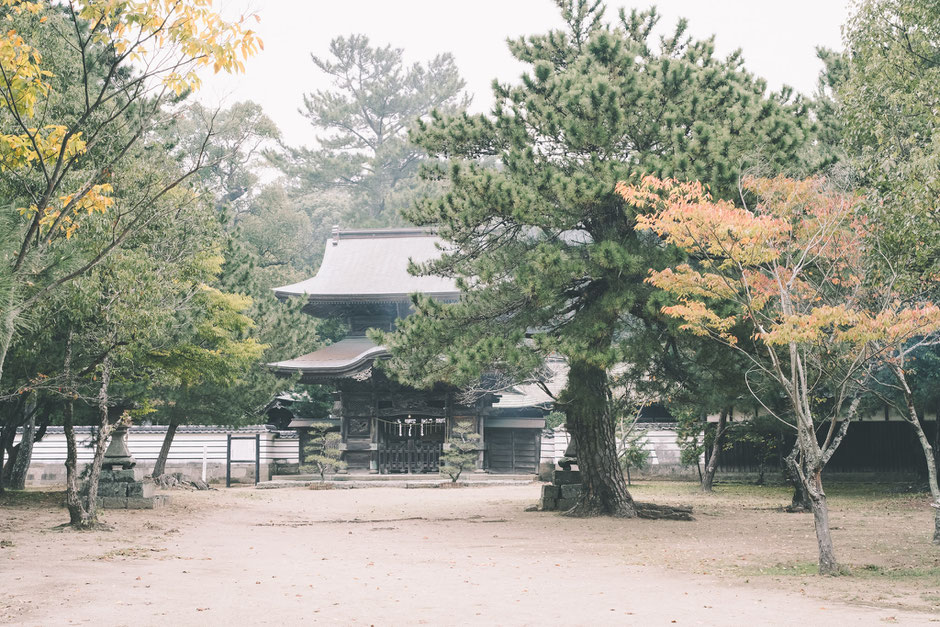 海の中にあった八幡社? 豊後高田市「別宮八幡社」の楼門