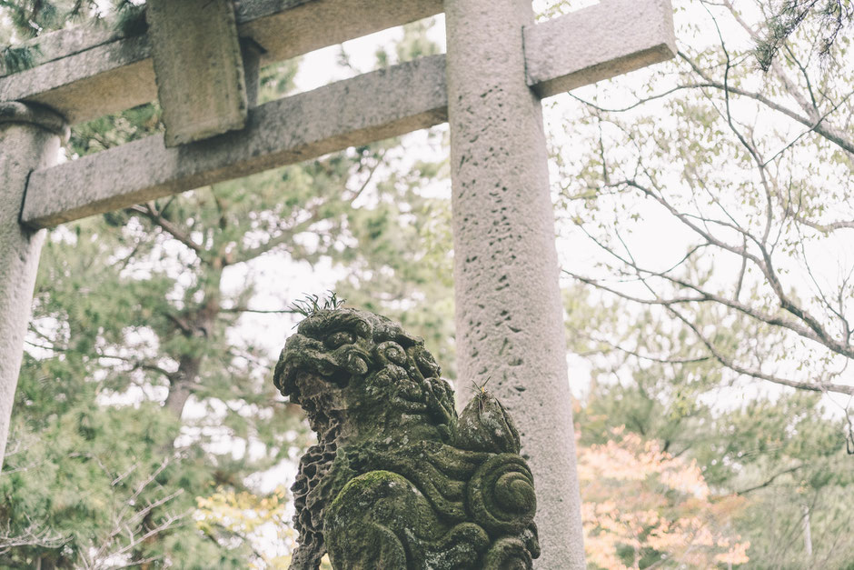 豊後高田市香々地　別宮八幡社