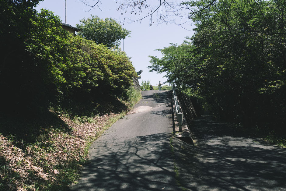 八景山(みやこ町)山頂への道