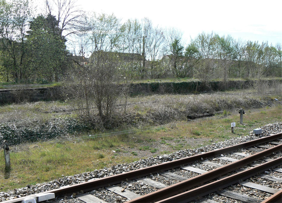 Au 1er plan la voie de Limoges ; au second plan, le quai militaire et devant, émergeant des herbes, à moitié cachée par un buisson, la voie qui le dessert. (Photo mars 2019)