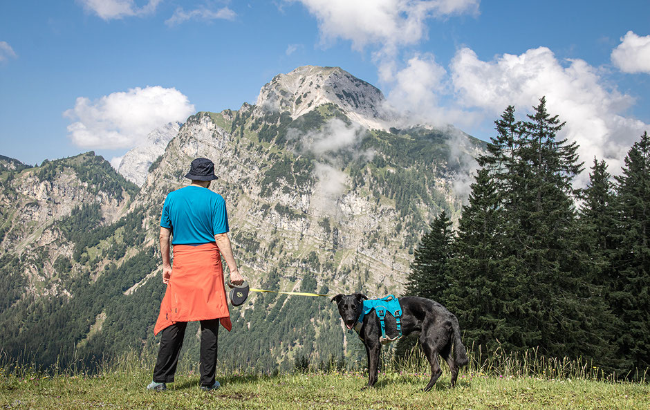 Zwölferkopf, Achensee, Wandern mit Hund, Urlaub mit Hund, Wandern in Tirol, Bergurlaub mit Hund