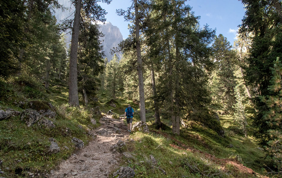 Wanderkarten Villnöss, Wandern mit Hund in Südtirol, Bergurlaub mit Hund, Wandern Villnöss, Wandern Eisacktal, Geisler Alm, Dusler Alm,