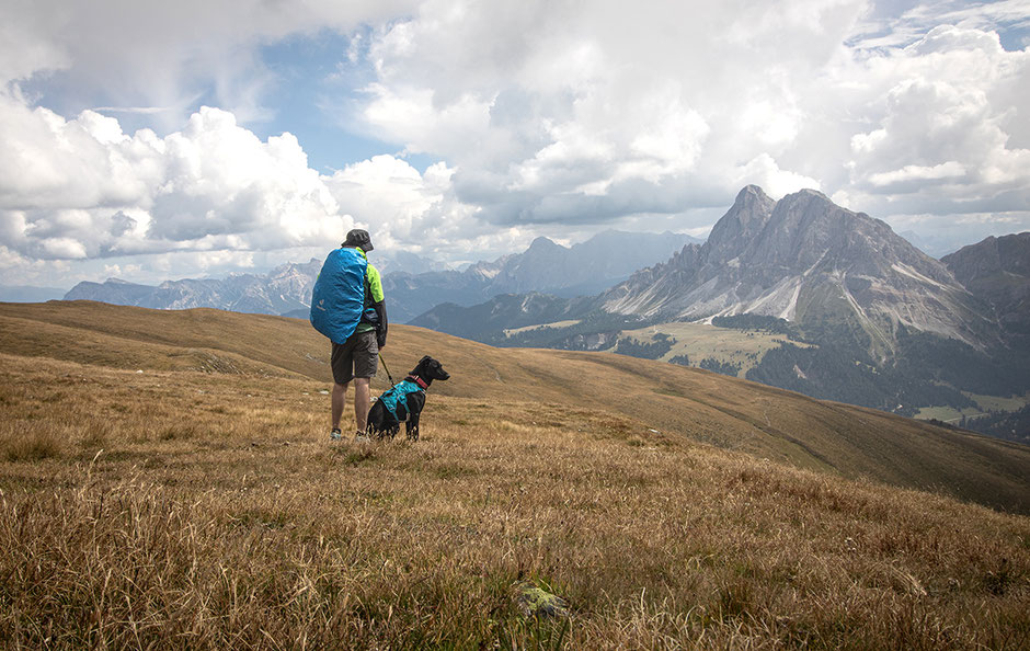 Wandern in Südtirol, Eisacktal, Wipptal, Plose, Großer Gabler, Gabler Biwak, Bergurlaub mit Hund, Wandern mit Hund in Südtirol