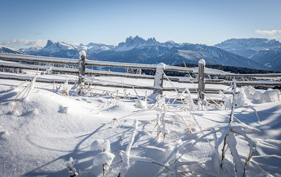 Villanderer Alm, Winterwandern Eisacktal, Bergurlaub mit Hund, Söfflhütte Villanderer Alm