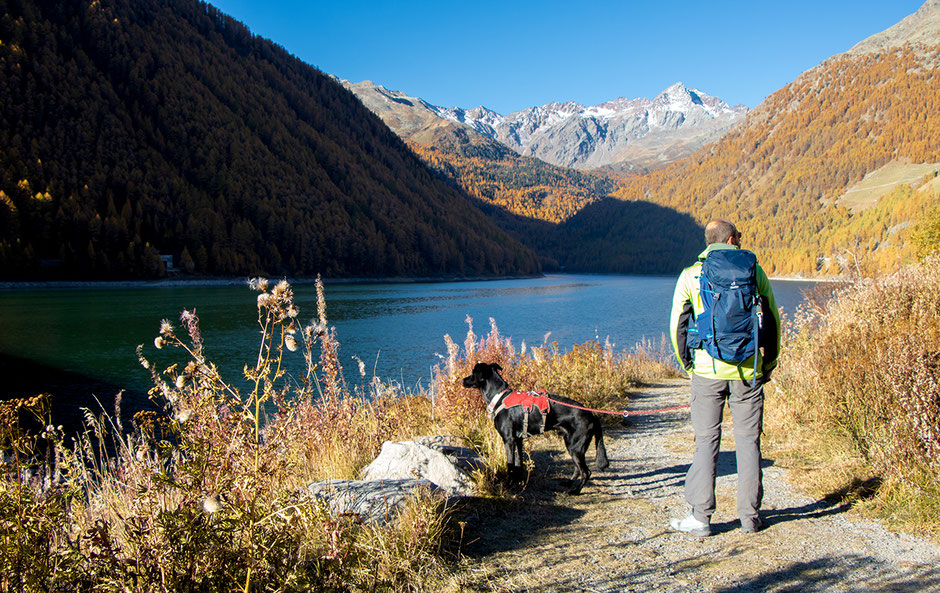 Rundwanderweg, Seeweg, Vernagter Stausee, Wandern im Schnalstal, Wandern in Südtirol, Bergurlaub mit Hund