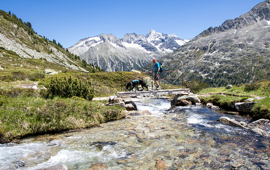 Schlegeisstaussee Olperer Hütte Schönste Wanderungen Österreich Wandern im Zillertal Wandern mit Hund im Zillertal Neumarkter Runde Zillertal Tagestouren Zillertal