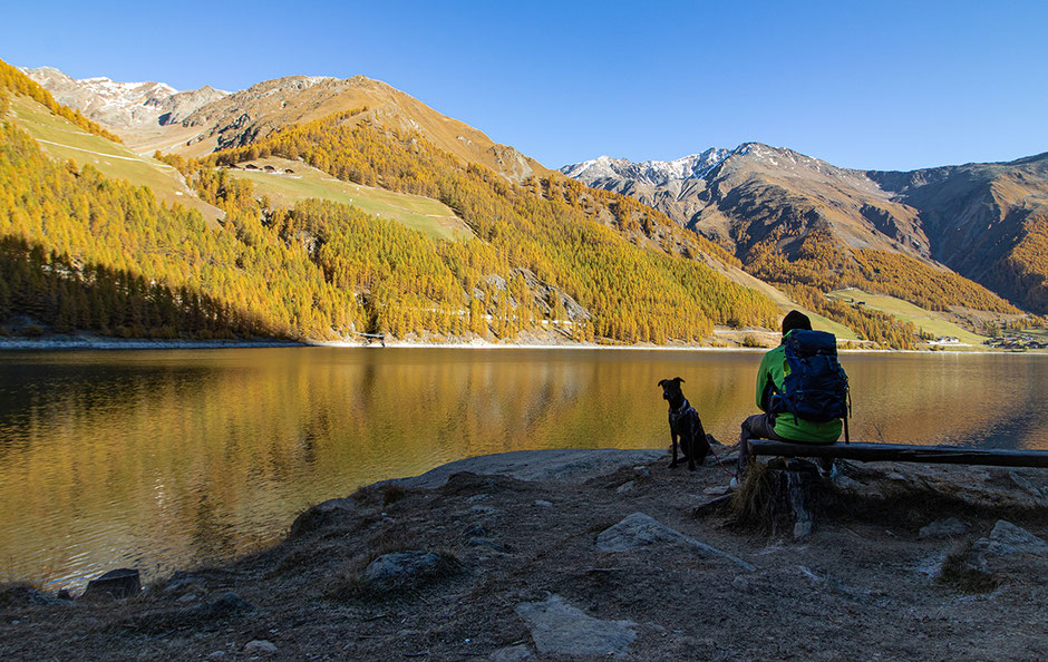 Rundwanderweg, Seeweg, Vernagter Stausee, Wandern im Schnalstal, Wandern in Südtirol, Bergurlaub mit Hund