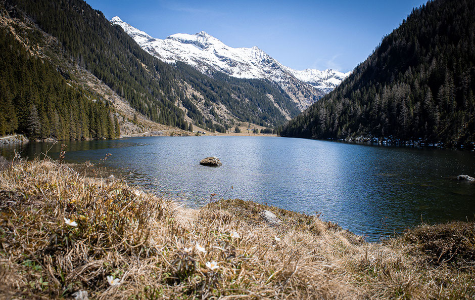 Wandern am Dachstein, Wandern in der Steiermark, Bergurlaub mit Hund, Steiermark, Salzburger Land