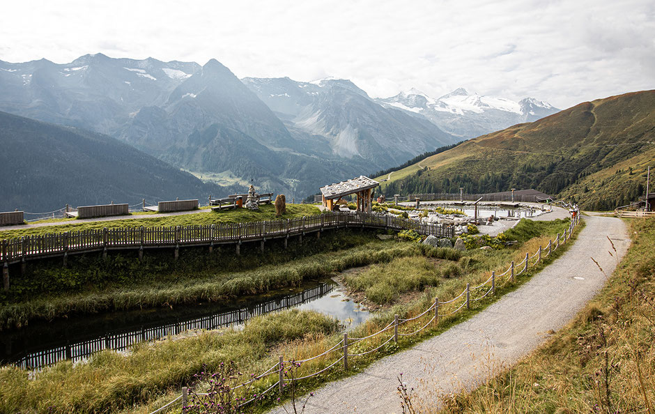 Wandern im Zillertal, Bergurlaub mit Hund, Hintertux, Wandern in Österreich, Wandern in Tirol, Wanderung Grüblspitze