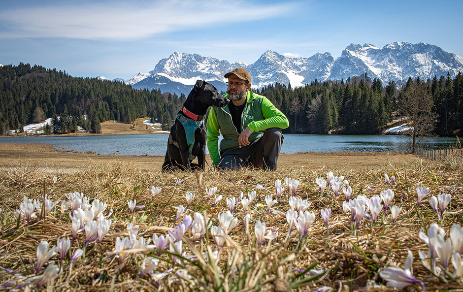 Wandern mit Hund, Urlaub mit Hund, Bergurlaub mit Hund, Wandern in Bayern 