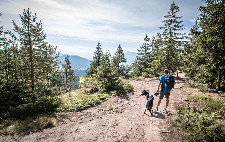 Knottenkino Vöran, Bergurlaub mit Hund, Wandern in Südtirol, Wandern in Meran,