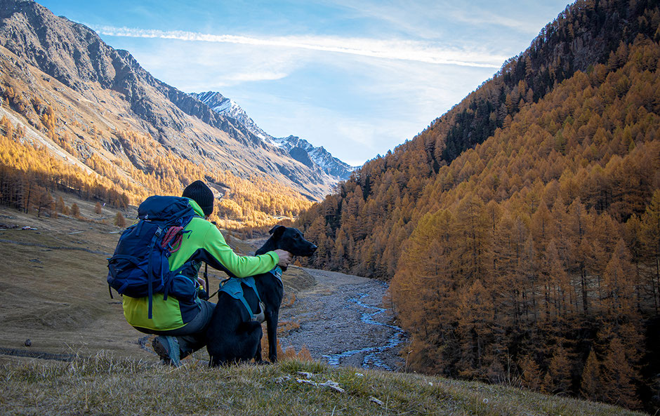Wandern im Vinschgau, Pfossental, Schnalstal, Eishof, Bergurlaub mit Hund, Wandern im Herbst Südtirol