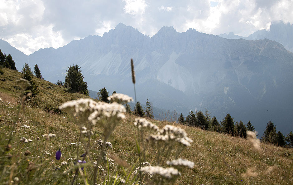 Wandern in Südtirol, Eisacktal, Wipptal, Plose, Großer Gabler, Gabler Biwak, Bergurlaub mit Hund, Wandern mit Hund in Südtirol