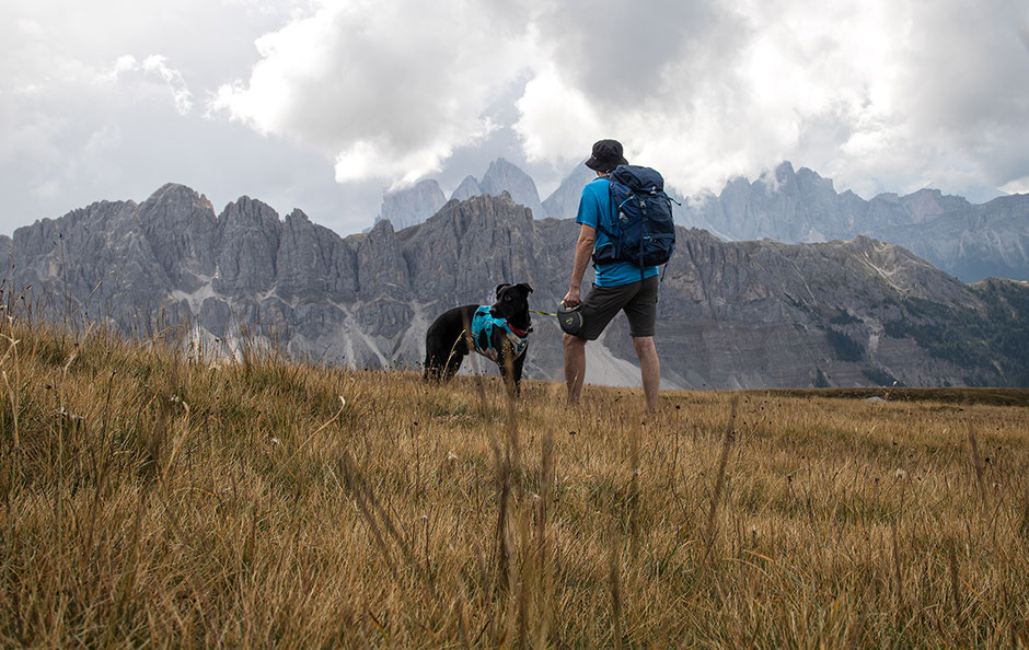 Wandern in Südtirol, Eisacktal, Wipptal, Plose, Großer Gabler, Gabler Biwak, Bergurlaub mit Hund, Wandern mit Hund in Südtirol