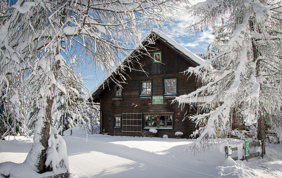 Wandern mit Hund Österreich, Bergurlaub mit Hund, Weissensee, Kärnten, Naggler Alm, Winterwandern, Schneeschuhwandern