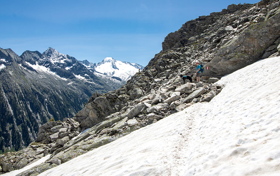 Schlegeisstaussee Olperer Hütte Schönste Wanderungen Österreich Wandern im Zillertal Wandern mit Hund im Zillertal Neumarkter Runde Zillertal Tagestouren Zillertal