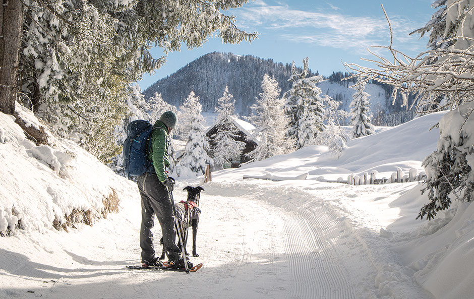 Wandern mit Hund Österreich, Bergurlaub mit Hund, Weissensee, Kärnten, Naggler Alm, Winterwandern, Schneeschuhwandern