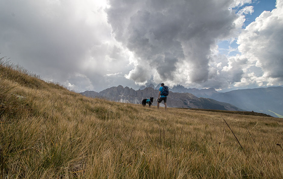 Wandern in Südtirol, Eisacktal, Wipptal, Plose, Großer Gabler, Gabler Biwak, Bergurlaub mit Hund, Wandern mit Hund in Südtirol